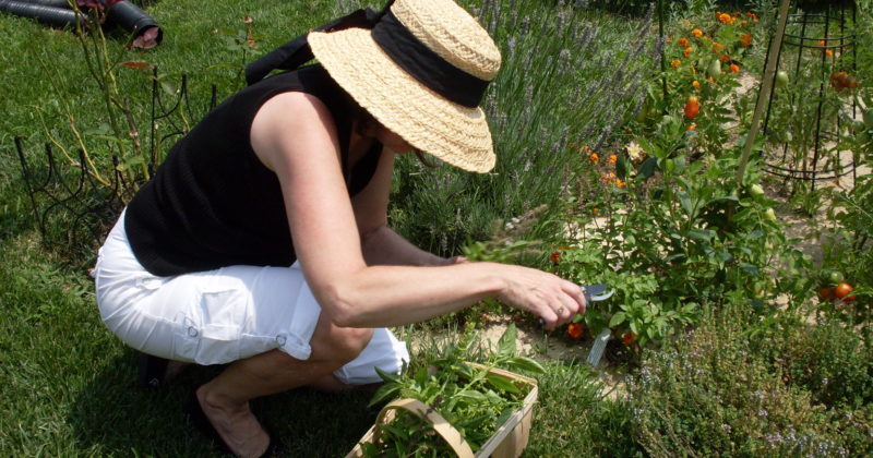 Gardening can add years to your life!